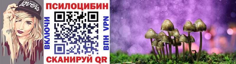 Галлюциногенные грибы MAGIC MUSHROOMS Нестеровская