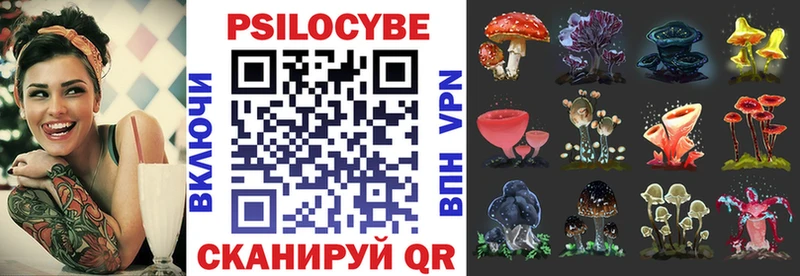купить наркотики цена  Нестеровская  KRAKEN как войти  Галлюциногенные грибы Magic Shrooms 